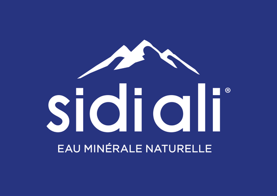 Sidi Ali
